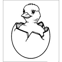 Раскраска: цыпленок (Животные) #15331 - Бесплатные раскраски для печати