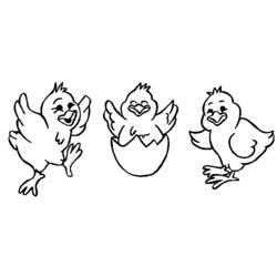 Раскраска: цыпленок (Животные) #15345 - Бесплатные раскраски для печати