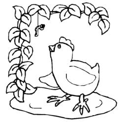 Раскраска: цыпленок (Животные) #15363 - Бесплатные раскраски для печати