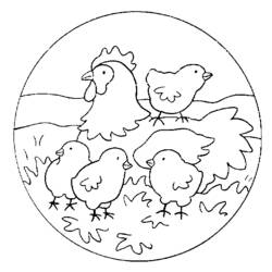 Раскраска: цыпленок (Животные) #15388 - Бесплатные раскраски для печати