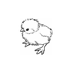 Раскраска: цыпленок (Животные) #15412 - Бесплатные раскраски для печати
