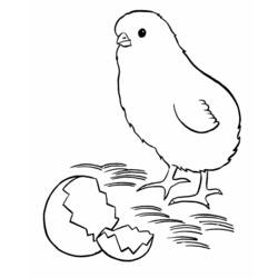 Раскраска: цыпленок (Животные) #15436 - Бесплатные раскраски для печати