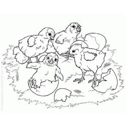 Раскраска: цыпленок (Животные) #15472 - Бесплатные раскраски для печати