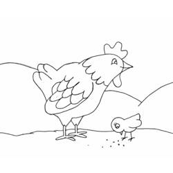 Раскраска: курица (Животные) #17222 - Бесплатные раскраски для печати