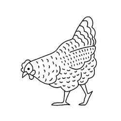 Раскраска: курица (Животные) #17228 - Бесплатные раскраски для печати