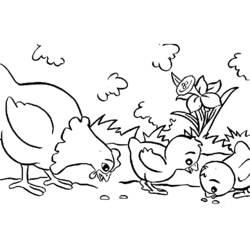 Раскраска: курица (Животные) #17248 - Бесплатные раскраски для печати