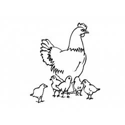 Раскраска: курица (Животные) #17281 - Бесплатные раскраски для печати