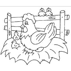 Раскраска: курица (Животные) #17325 - Бесплатные раскраски для печати