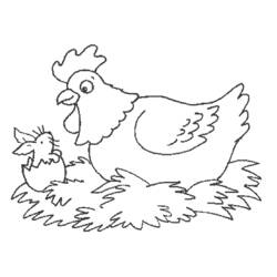 Раскраска: курица (Животные) #17350 - Бесплатные раскраски для печати