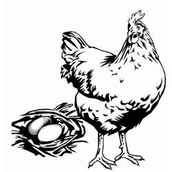 Раскраска: курица (Животные) #17368 - Бесплатные раскраски для печати