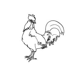 Раскраска: курица (Животные) #17383 - Бесплатные раскраски для печати