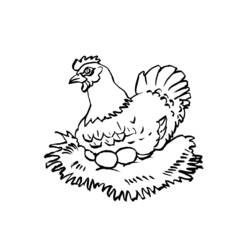 Раскраска: курица (Животные) #17397 - Бесплатные раскраски для печати