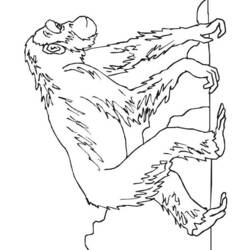 Раскраска: шимпанзе (Животные) #2796 - Бесплатные раскраски для печати