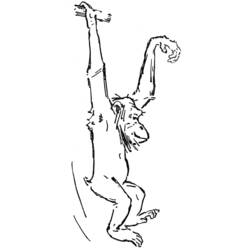 Раскраска: шимпанзе (Животные) #2812 - Бесплатные раскраски для печати