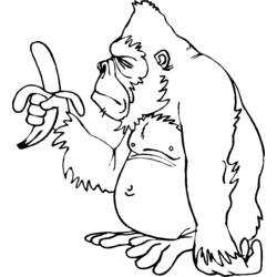 Раскраска: шимпанзе (Животные) #2828 - Бесплатные раскраски для печати
