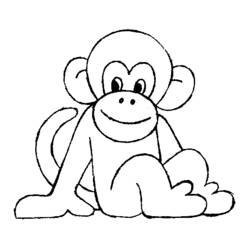 Раскраски: шимпанзе - Бесплатные раскраски для печати