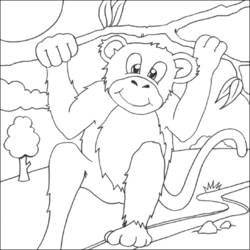 Раскраска: шимпанзе (Животные) #2866 - Бесплатные раскраски для печати