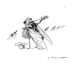 Раскраска: цикада (Животные) #18485 - Бесплатные раскраски для печати