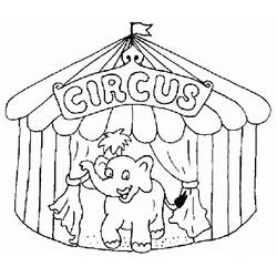 Раскраска: Цирковые животные (Животные) #20807 - Бесплатные раскраски для печати