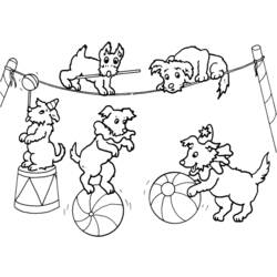 Раскраска: Цирковые животные (Животные) #20854 - Бесплатные раскраски для печати