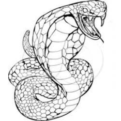 Раскраска: кобра (Животные) #3220 - Бесплатные раскраски для печати
