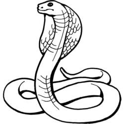 Раскраска: кобра (Животные) #3223 - Бесплатные раскраски для печати