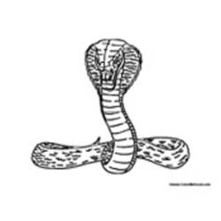Раскраска: кобра (Животные) #3225 - Бесплатные раскраски для печати