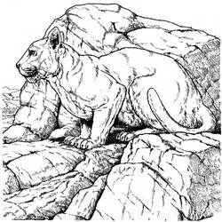Раскраска: пума (Животные) #4470 - Бесплатные раскраски для печати