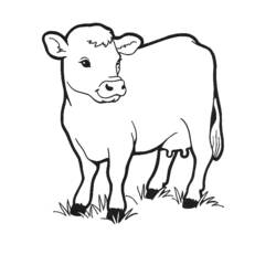Раскраска: корова (Животные) #13189 - Бесплатные раскраски для печати