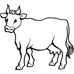 Раскраска: корова (Животные) #13195 - Бесплатные раскраски для печати