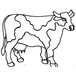 Раскраска: корова (Животные) #13208 - Бесплатные раскраски для печати