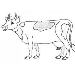 Раскраска: корова (Животные) #13227 - Бесплатные раскраски для печати