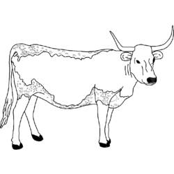 Раскраска: корова (Животные) #13244 - Бесплатные раскраски для печати