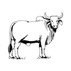 Раскраска: корова (Животные) #13260 - Бесплатные раскраски для печати