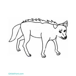 Раскраска: койот (Животные) #4513 - Бесплатные раскраски для печати