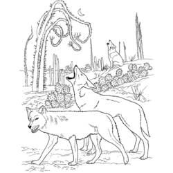 Раскраска: койот (Животные) #4550 - Бесплатные раскраски для печати
