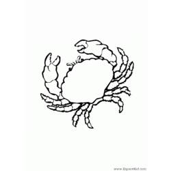 Раскраска: краб (Животные) #4605 - Бесплатные раскраски для печати