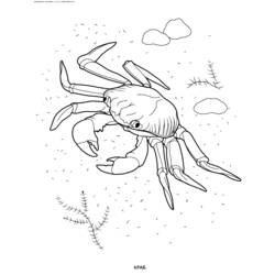 Раскраска: краб (Животные) #4659 - Бесплатные раскраски для печати