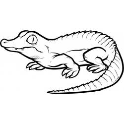 Раскраска: крокодил (Животные) #4812 - Бесплатные раскраски для печати