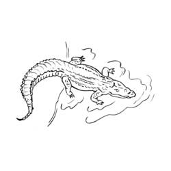 Раскраска: крокодил (Животные) #4926 - Бесплатные раскраски для печати
