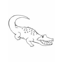 Раскраска: крокодил (Животные) #4961 - Бесплатные раскраски для печати