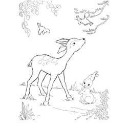 Раскраска: косуля (Животные) #2574 - Бесплатные раскраски для печати