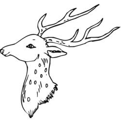 Раскраска: косуля (Животные) #2633 - Бесплатные раскраски для печати