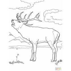 Раскраска: косуля (Животные) #2653 - Бесплатные раскраски для печати