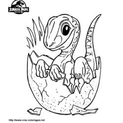 Раскраска: динозавр (Животные) #5538 - Бесплатные раскраски для печати