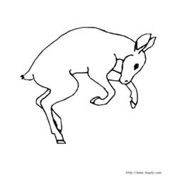 Раскраска: лань (Животные) #1100 - Бесплатные раскраски для печати