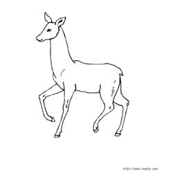 Раскраска: лань (Животные) #1102 - Бесплатные раскраски для печати