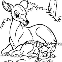 Раскраска: лань (Животные) #1107 - Бесплатные раскраски для печати