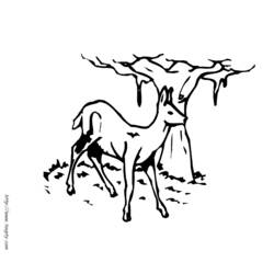 Раскраска: лань (Животные) #1140 - Бесплатные раскраски для печати