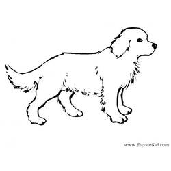 Раскраска: собака (Животные) #14 - Бесплатные раскраски для печати